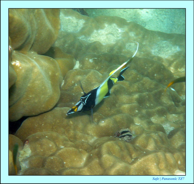 2011 - 03 - Koh Ngai 112